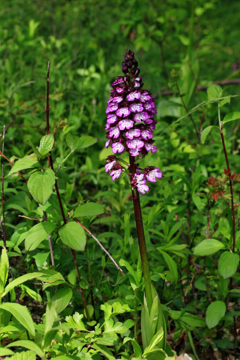 2015_05_11_00019184p_Bildgr��e �ndern