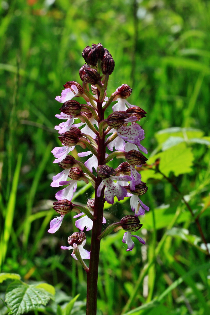 2015_05_11_00019186p_Bildgr��e �ndern