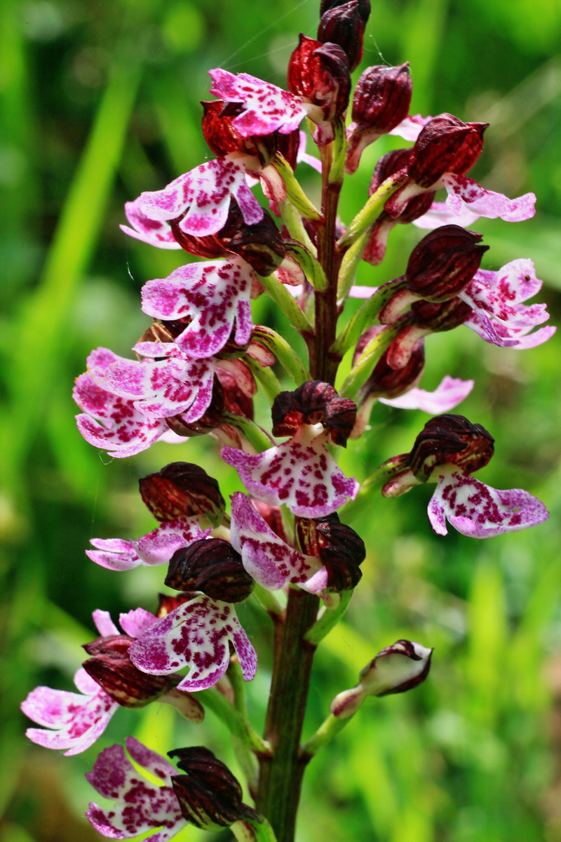 2015_05_11_00019188p_Bildgr��e �ndern