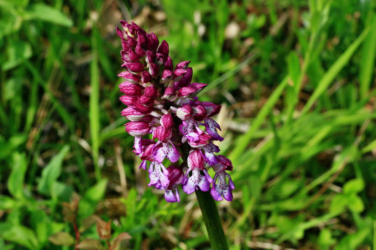 2015_05_11_00019195p_Bildgr��e �ndern