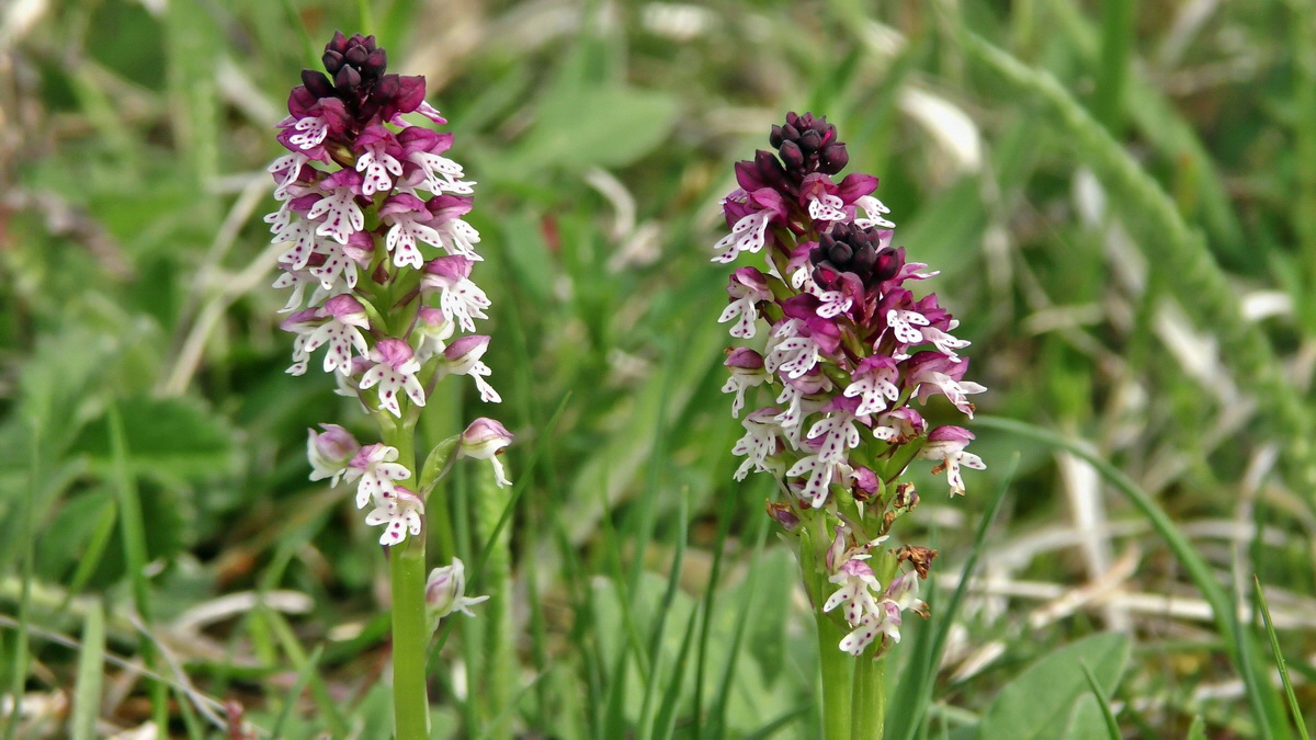 05-12-2015_111344p_Bildgr��e �ndern