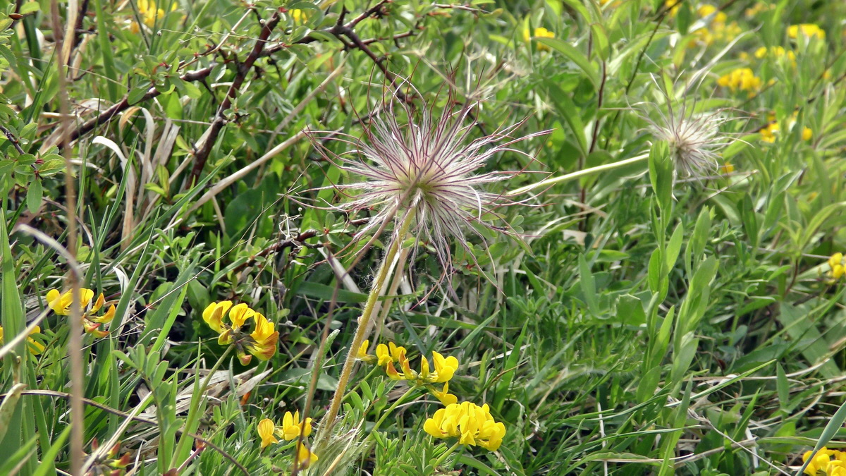 05-12-2015_111750p_Bildgr��e �ndern