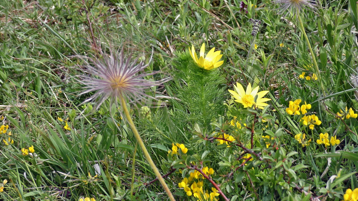 05-12-2015_112134p_Bildgr��e �ndern