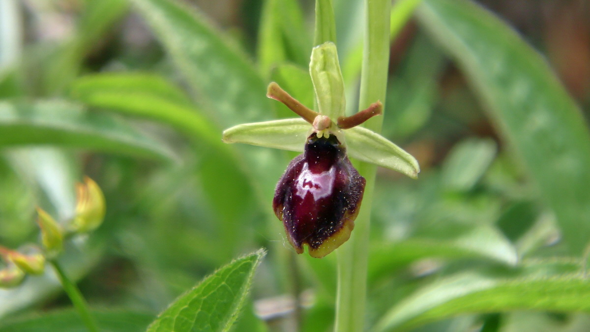 05-12-2015_112554p_Bildgr��e �ndern