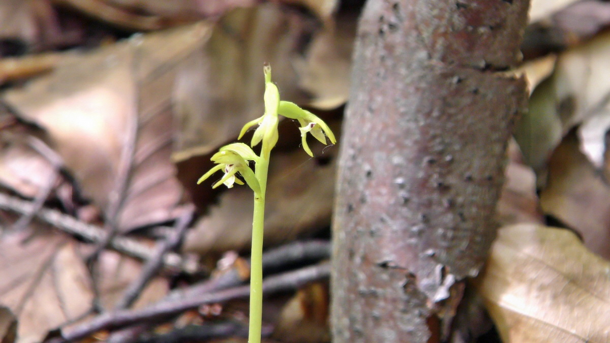 05-12-2015_144057p_Bildgr��e �ndern