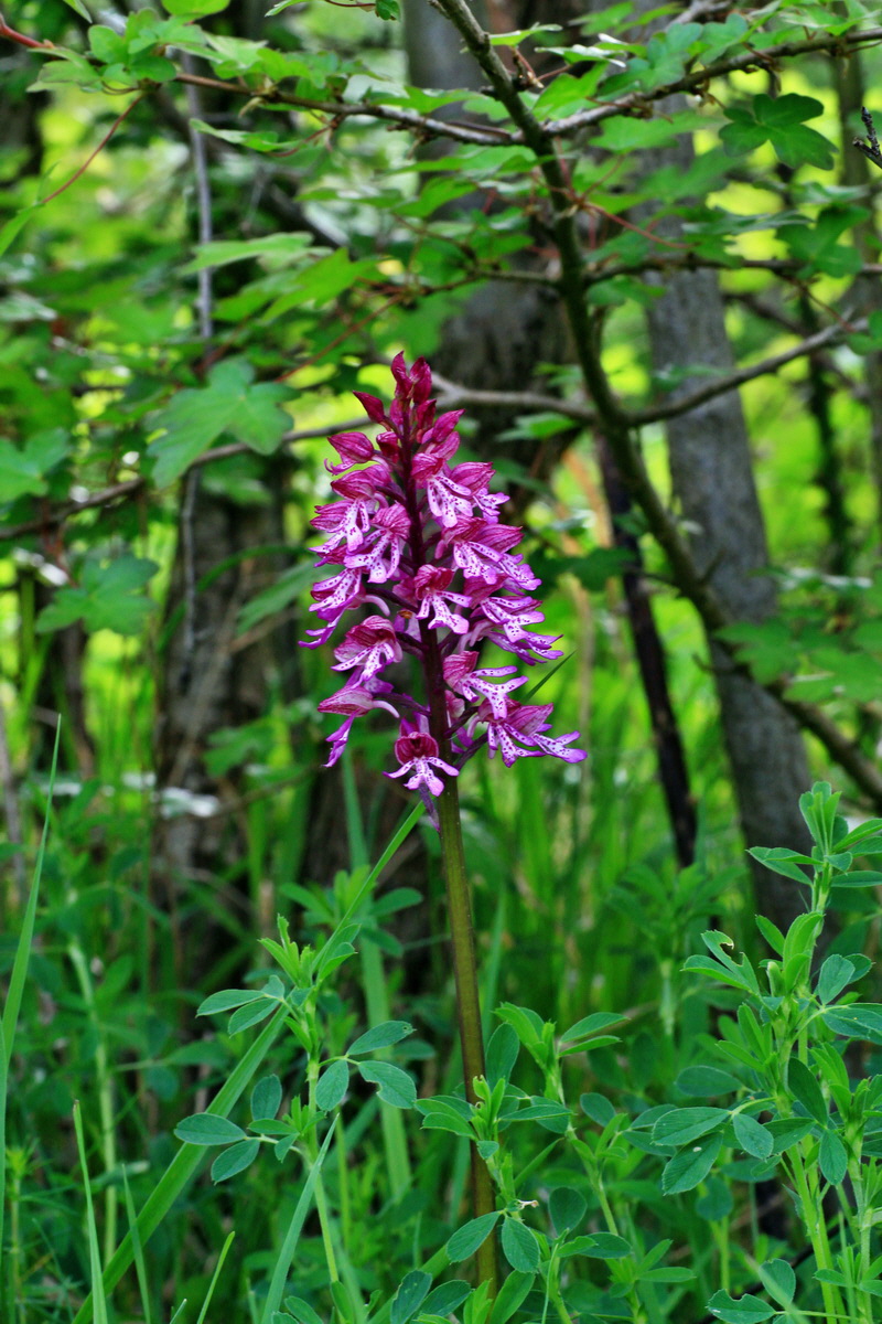 2015_05_12_00019201p_Bildgr��e �ndern