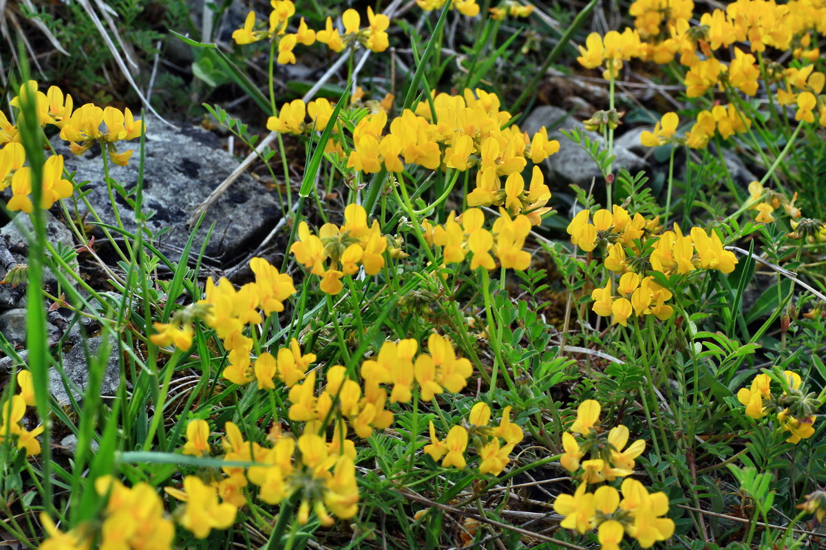 2015_05_12_00019204p_Bildgr��e �ndern