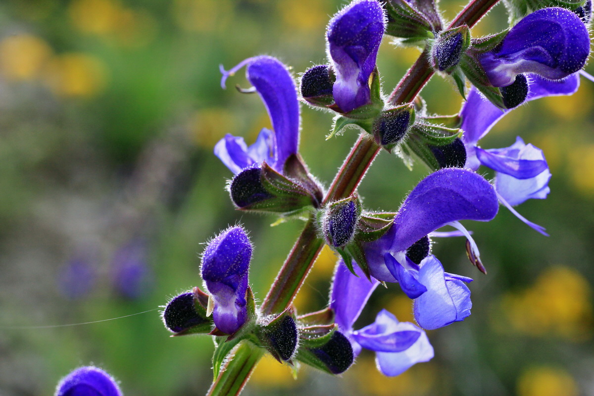 2015_05_12_00019206p_Bildgr��e �ndern