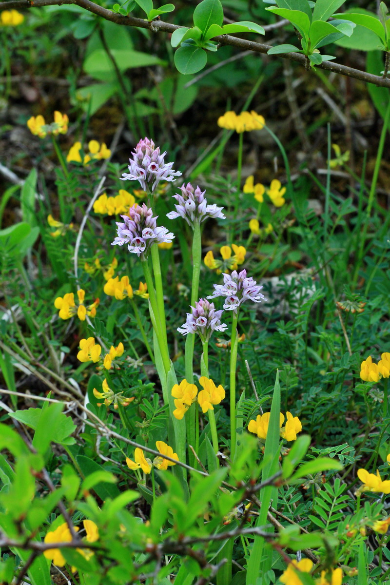 2015_05_12_00019208p_Bildgr��e �ndern