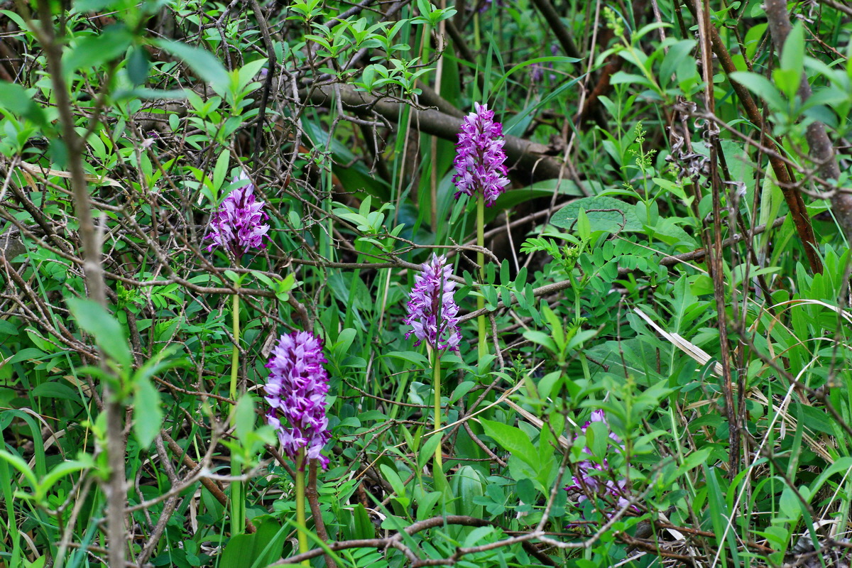 2015_05_12_00019211p_Bildgr��e �ndern