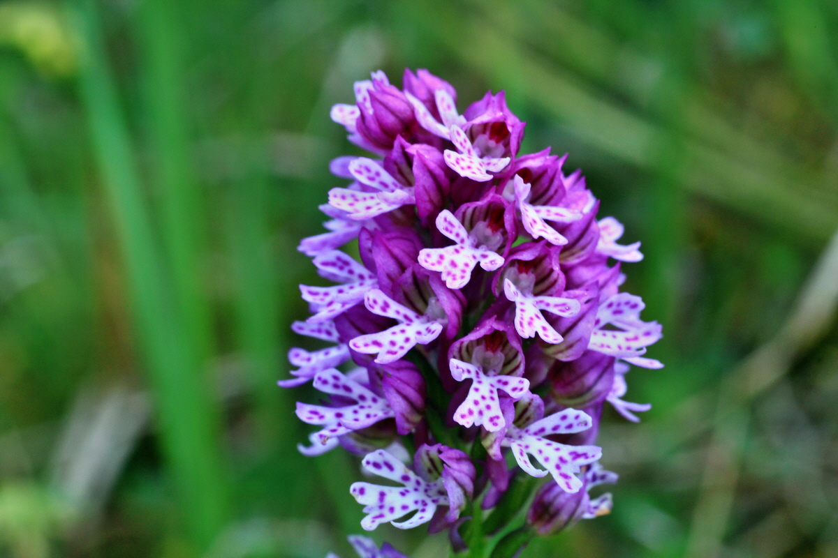 2015_05_12_00019215p_Bildgr��e �ndern