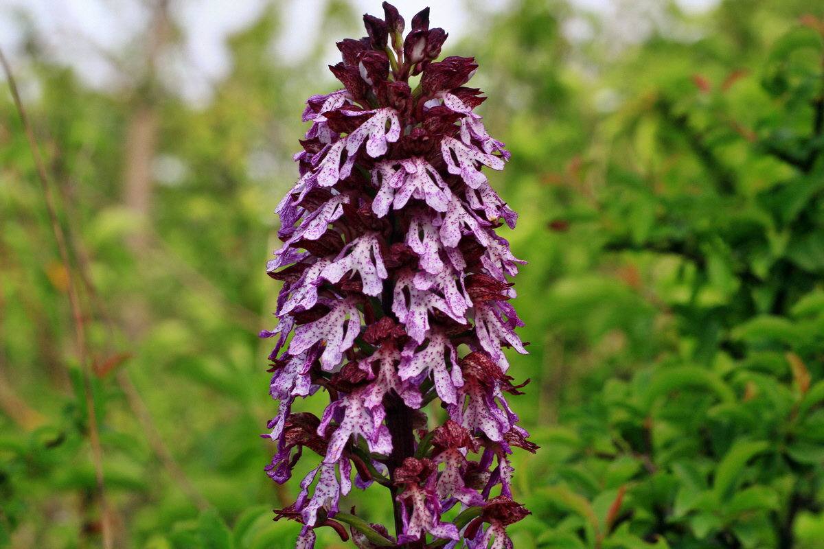 2015_05_12_00019217p_Bildgr��e �ndern