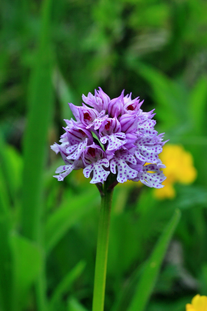 2015_05_12_00019220p_Bildgr��e �ndern