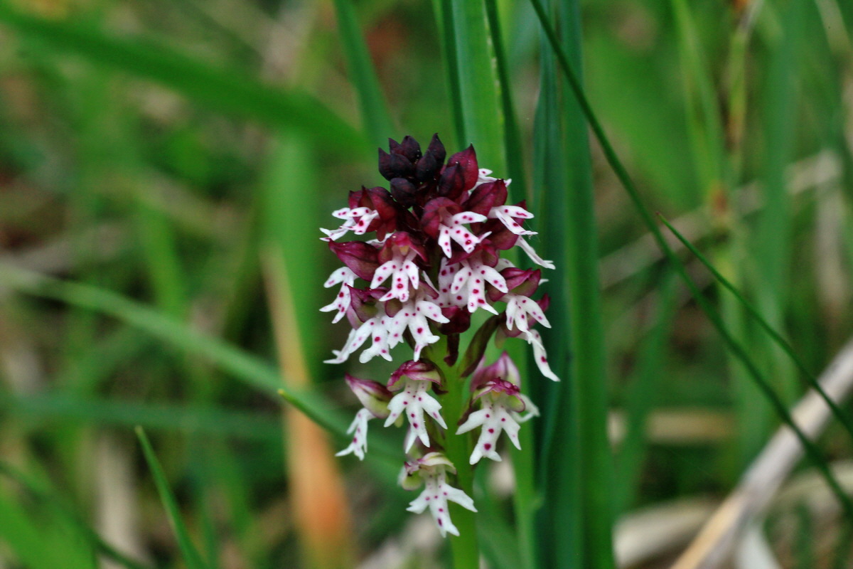 2015_05_12_00019226p_Bildgr��e �ndern