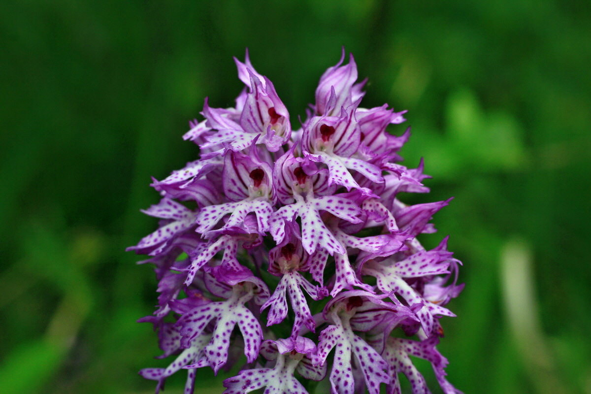 2015_05_12_00019229p_Bildgr��e �ndern