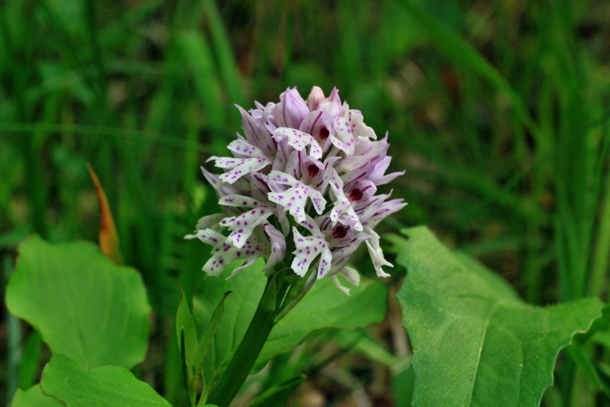 2015_05_12_00019235p_Bildgr��e �ndern