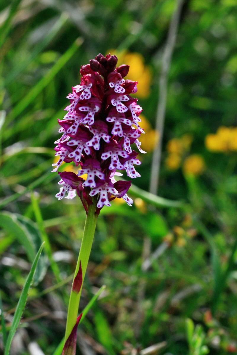 2015_05_12_00019242p_Bildgr��e �ndern