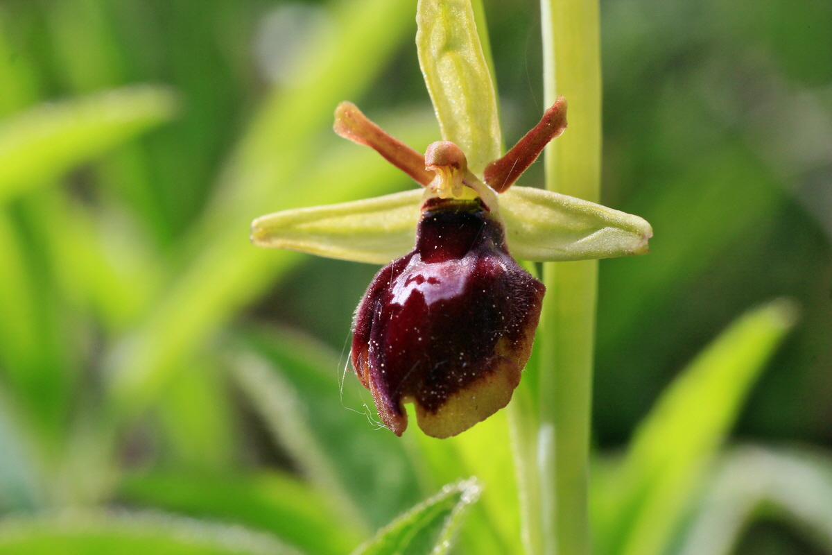 2015_05_12_00019246p_Bildgr��e �ndern