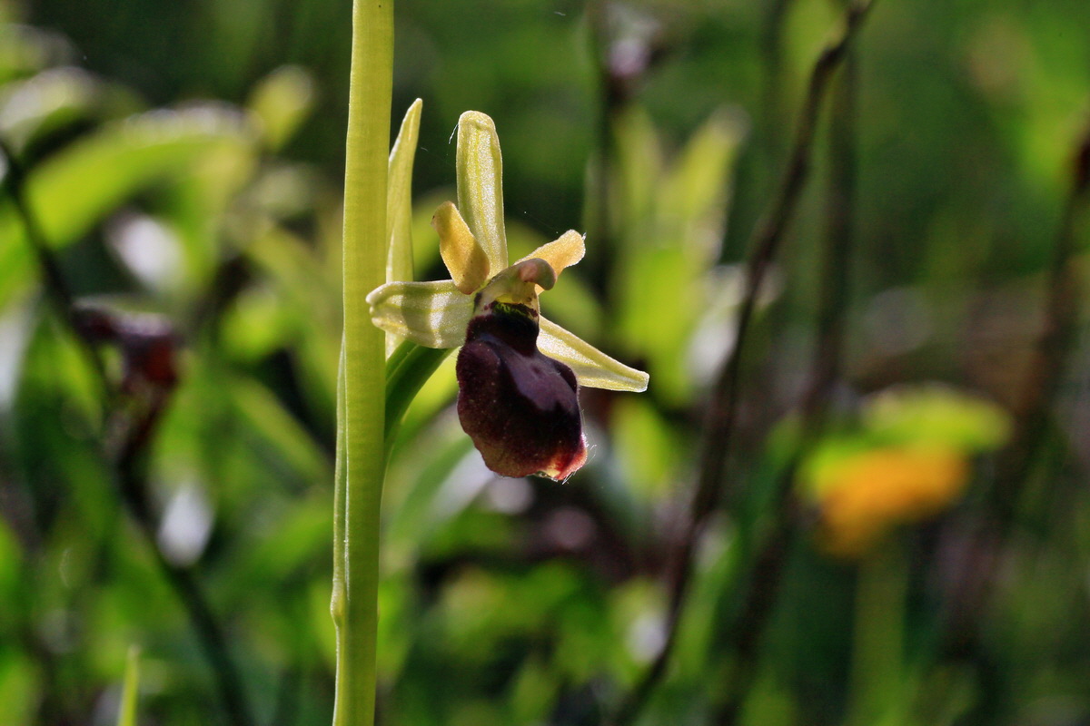 2015_05_12_00019249p_Bildgr��e �ndern