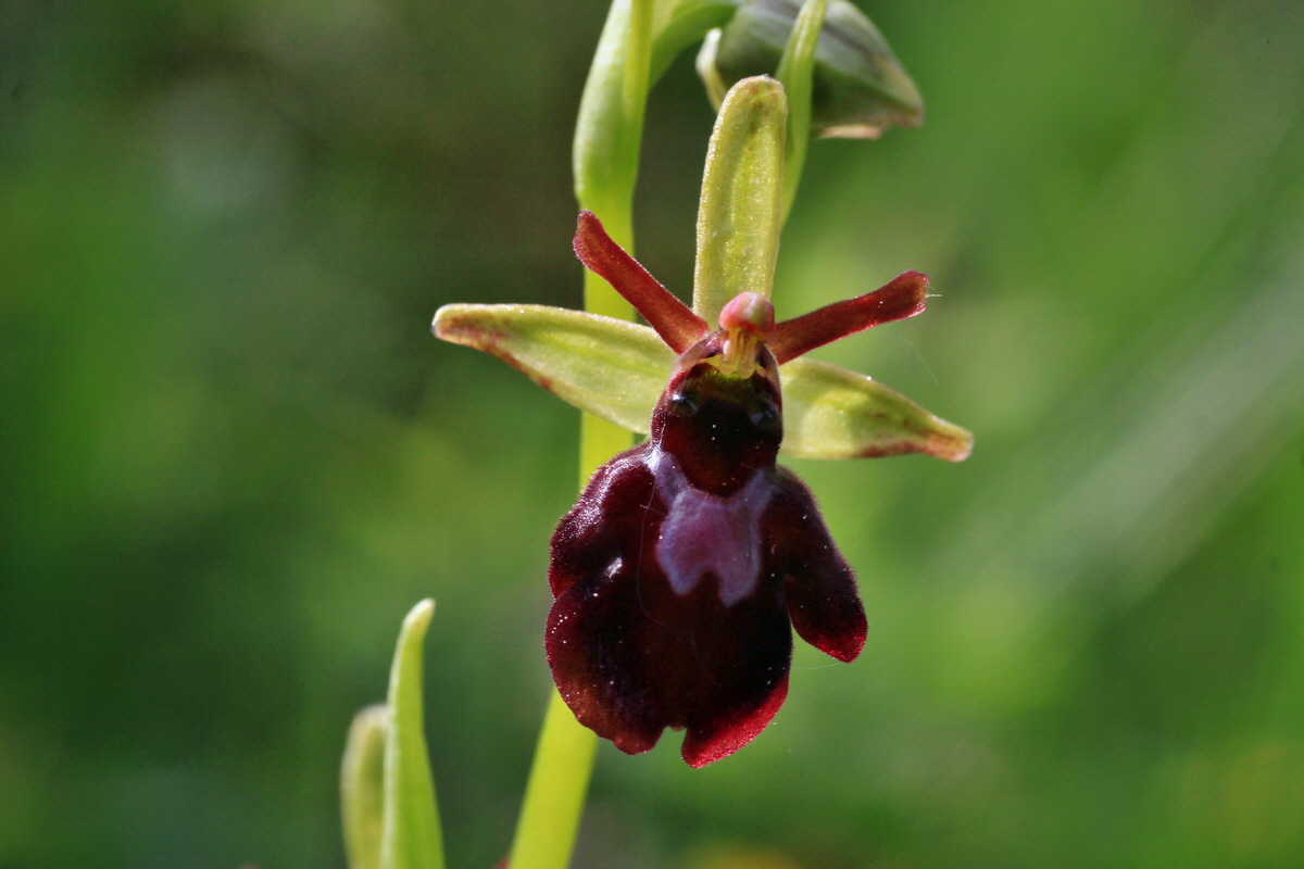 2015_05_12_00019253p_Bildgr��e �ndern