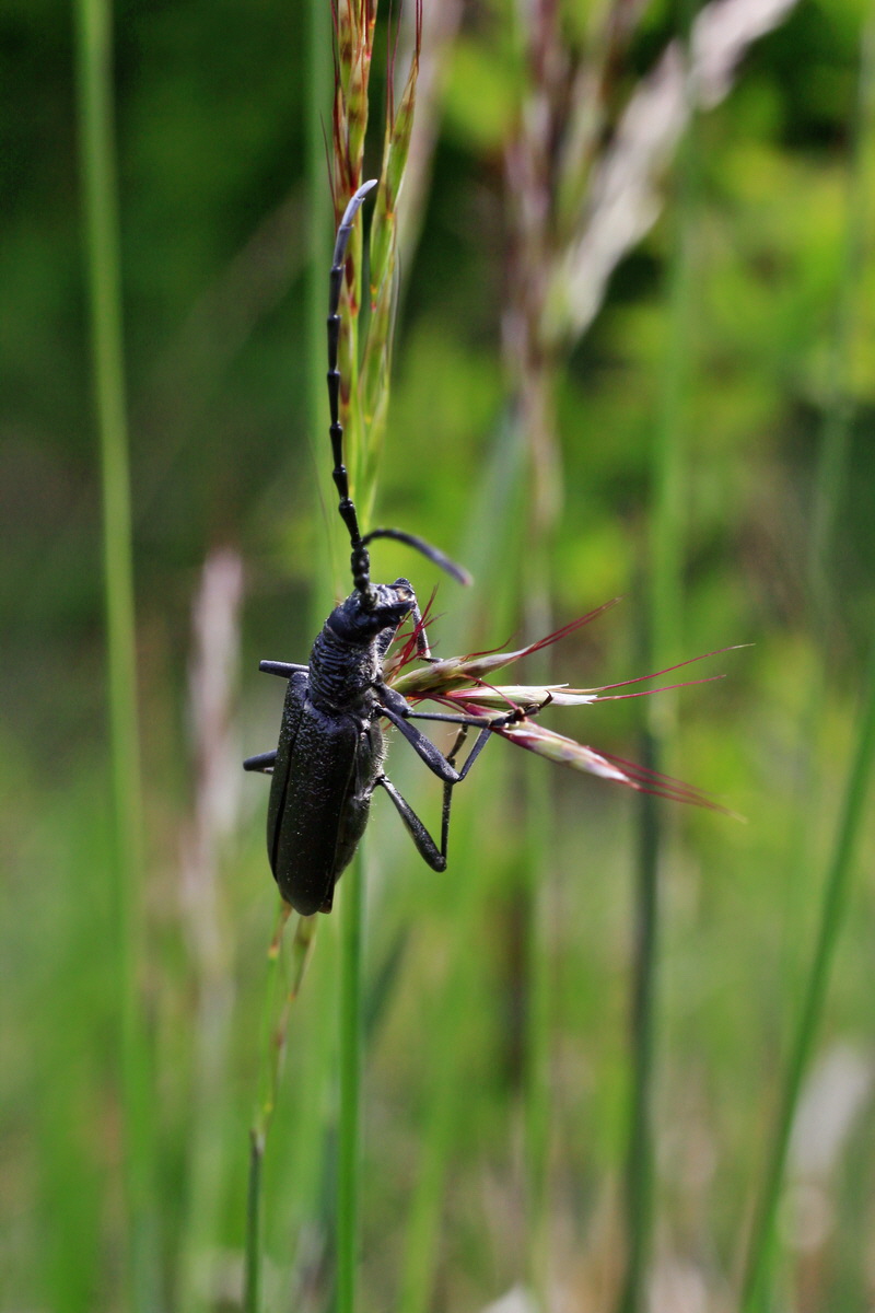 2015_05_12_00019257p_Bildgr��e �ndern