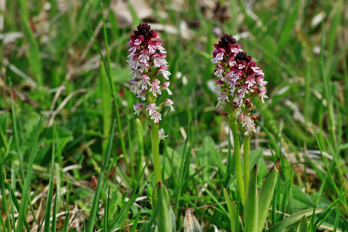 2015_05_12_00019284p_Bildgr��e �ndern