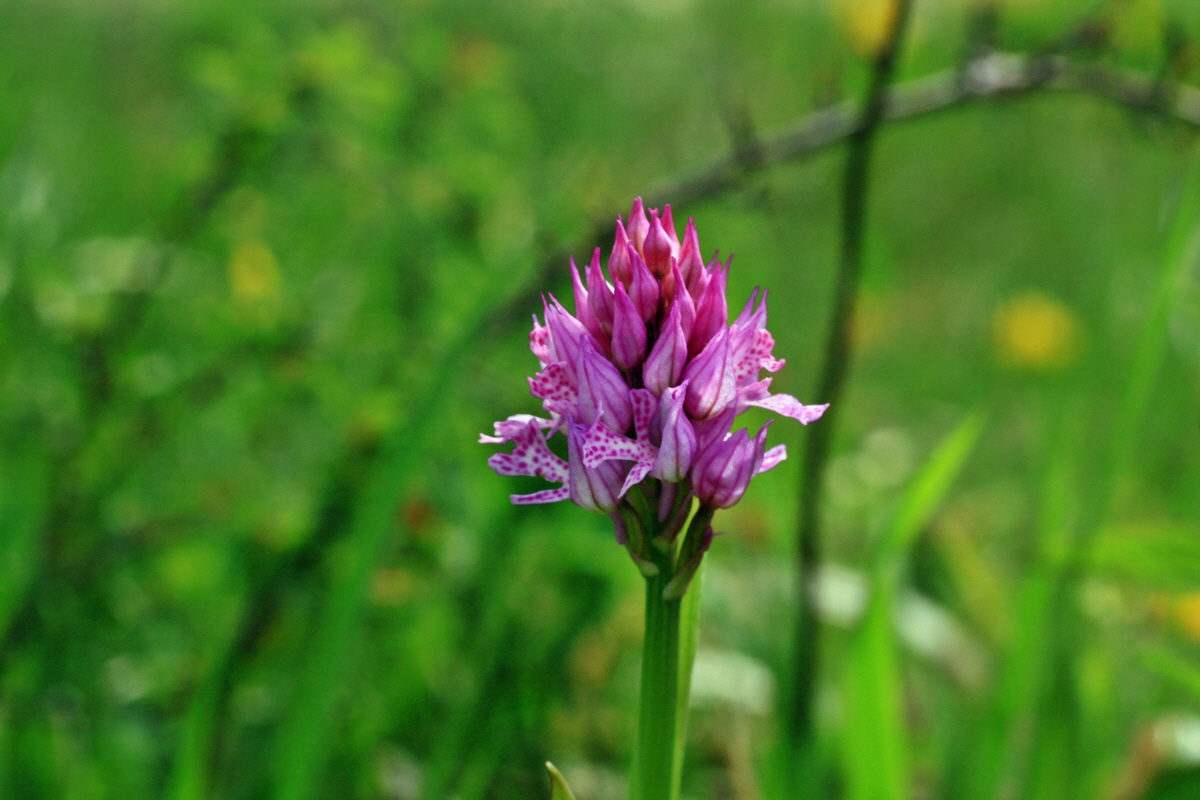 2015_05_12_00019287p_Bildgr��e �ndern