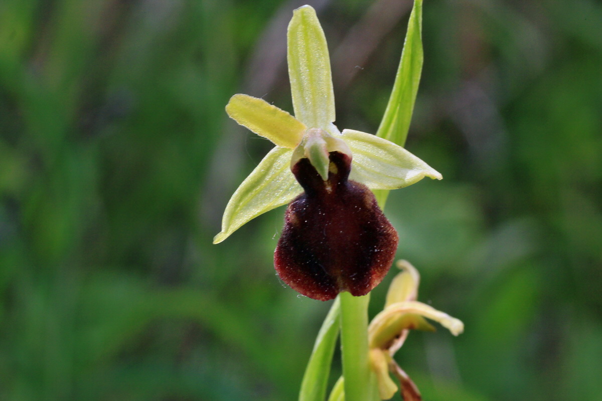 2015_05_12_00019290p_Bildgr��e �ndern