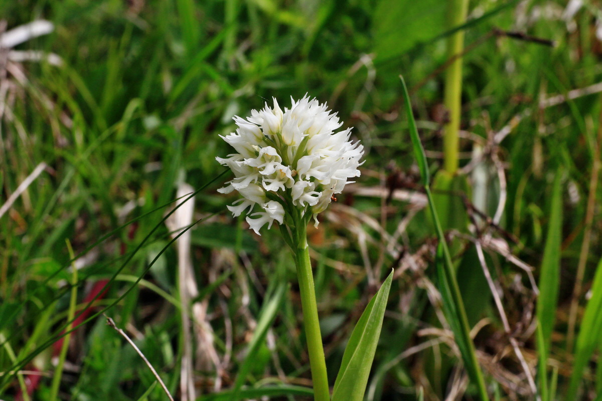 2015_05_12_00019293p_Bildgr��e �ndern