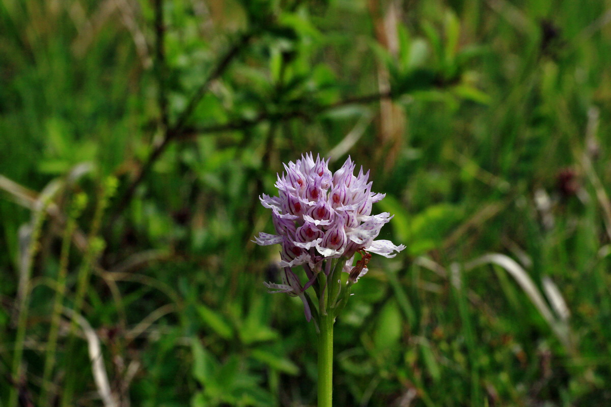 2015_05_12_00019296p_Bildgr��e �ndern