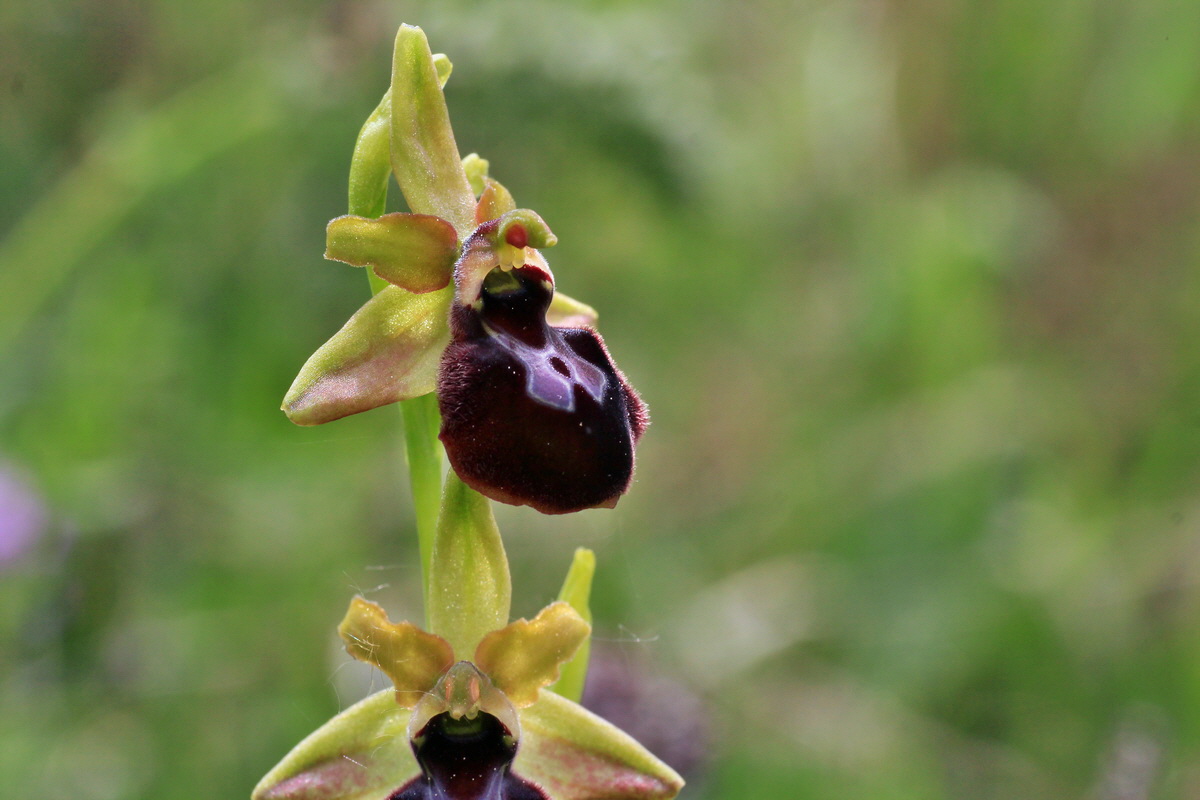 2015_05_12_00019304p_Bildgr��e �ndern