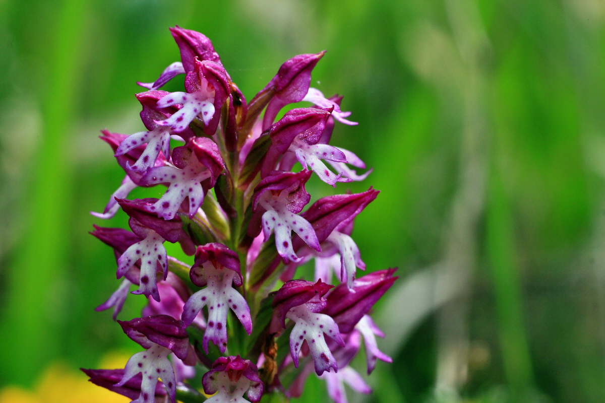 2015_05_12_00019309p_Bildgr��e �ndern