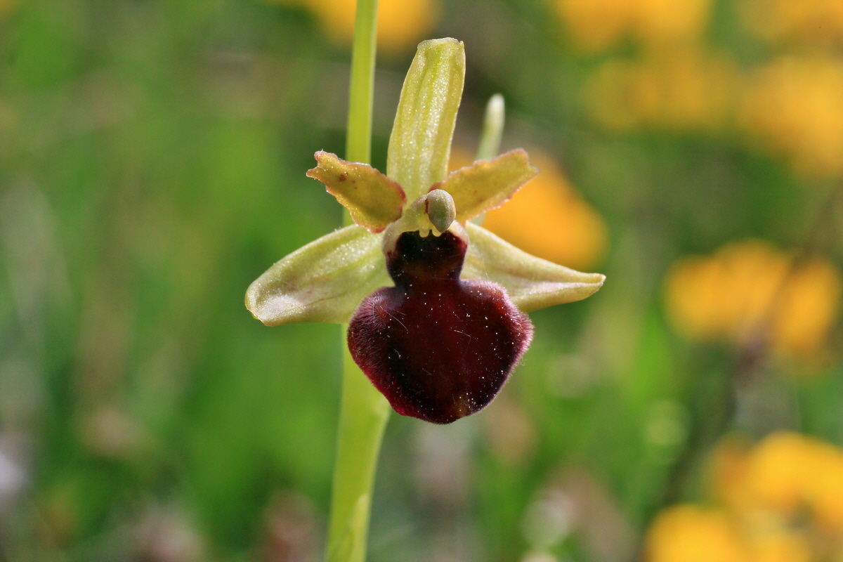 2015_05_12_00019314p_Bildgr��e �ndern