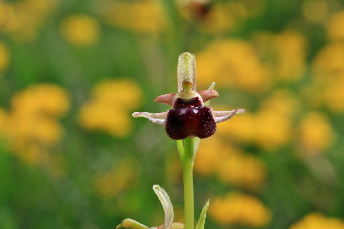 2015_05_12_00019317p_Bildgr��e �ndern