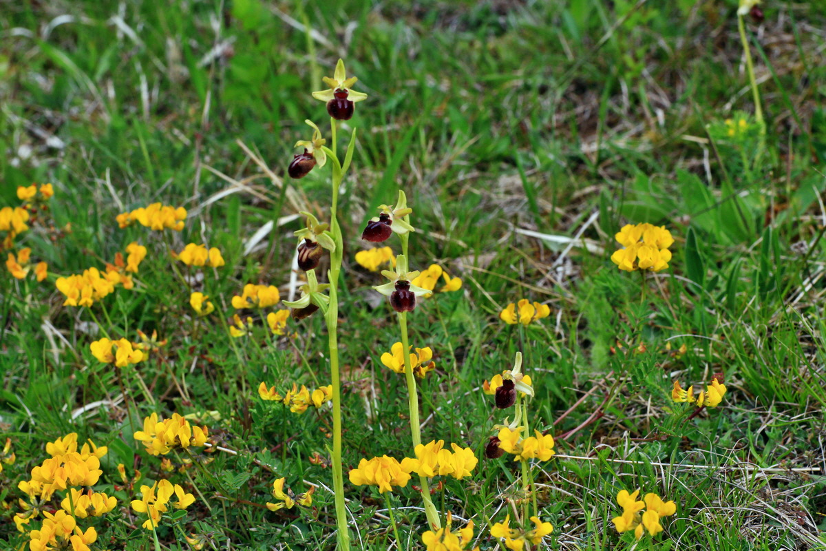 2015_05_12_00019324p_Bildgr��e �ndern