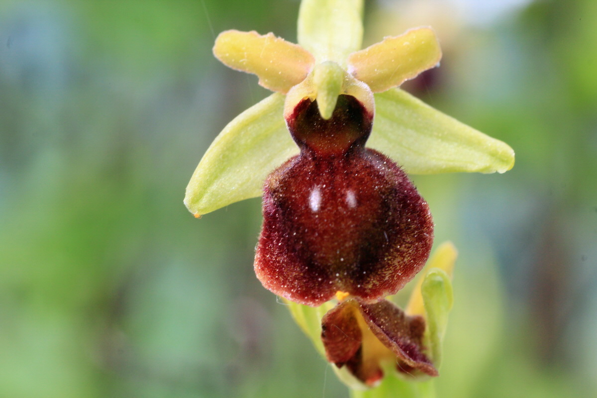 2015_05_12_00019327p_Bildgr��e �ndern