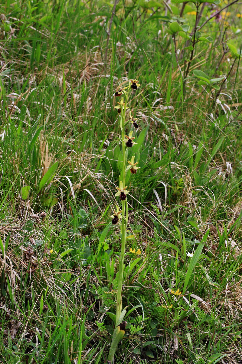 2015_05_12_00019330p_Bildgr��e �ndern