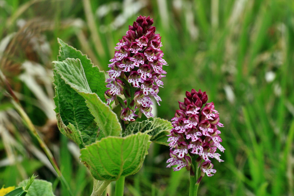 2015_05_12_00019333p_Bildgr��e �ndern