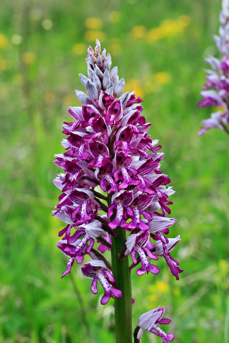 2015_05_12_00019336p_Bildgr��e �ndern