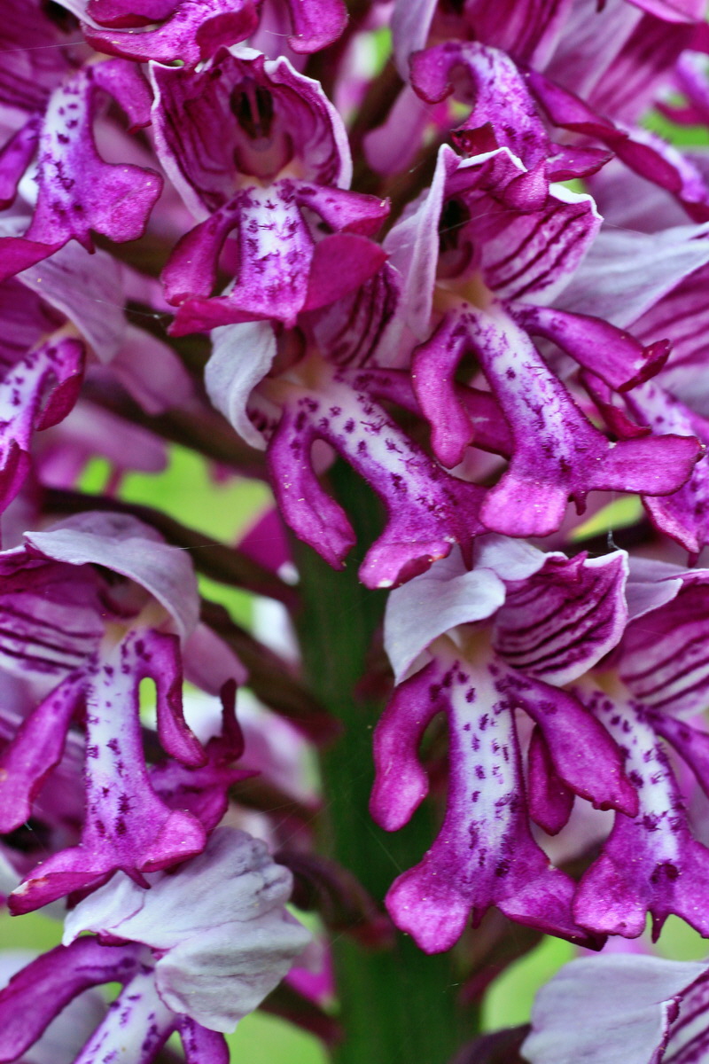 2015_05_12_00019338p_Bildgr��e �ndern