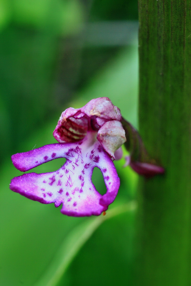 2015_05_12_00019340p_Bildgr��e �ndern