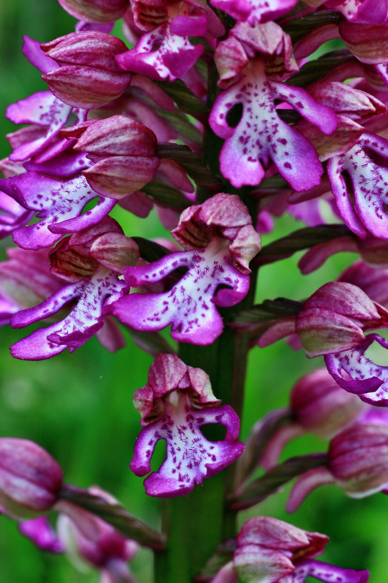 2015_05_12_00019342p_Bildgr��e �ndern