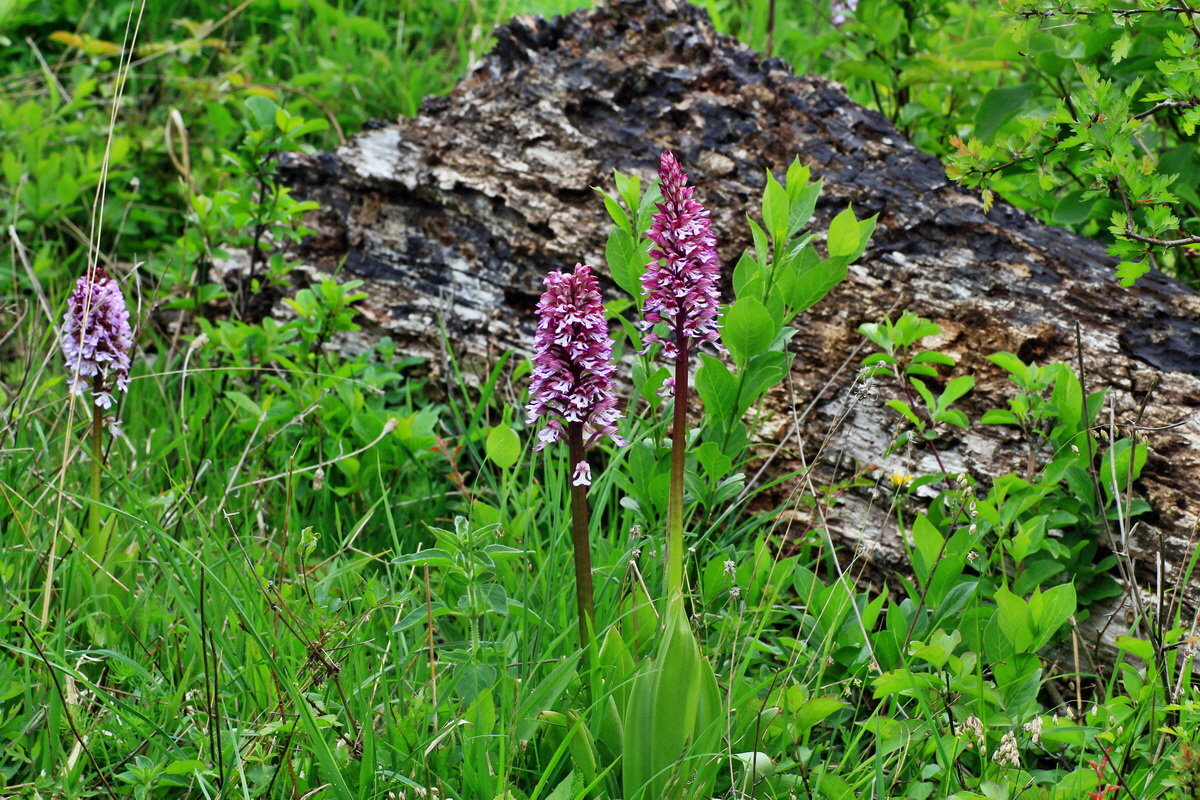 2015_05_12_00019347p_Bildgr��e �ndern