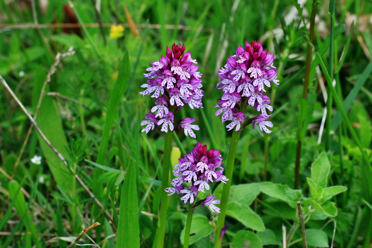 2015_05_12_00019349p_Bildgr��e �ndern