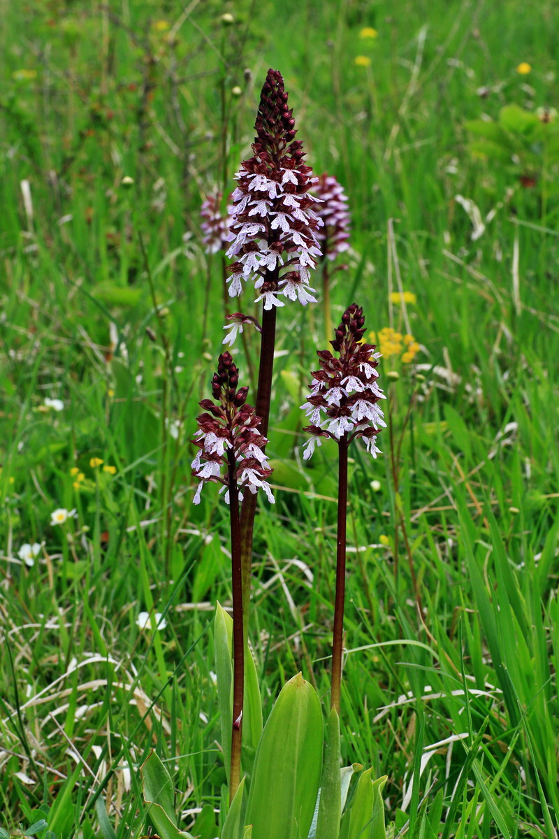 2015_05_12_00019352p_Bildgr��e �ndern