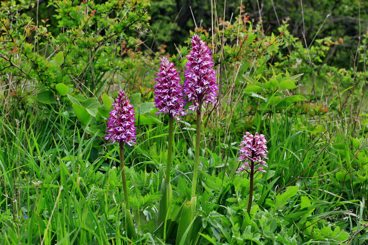 2015_05_12_00019358p_Bildgr��e �ndern