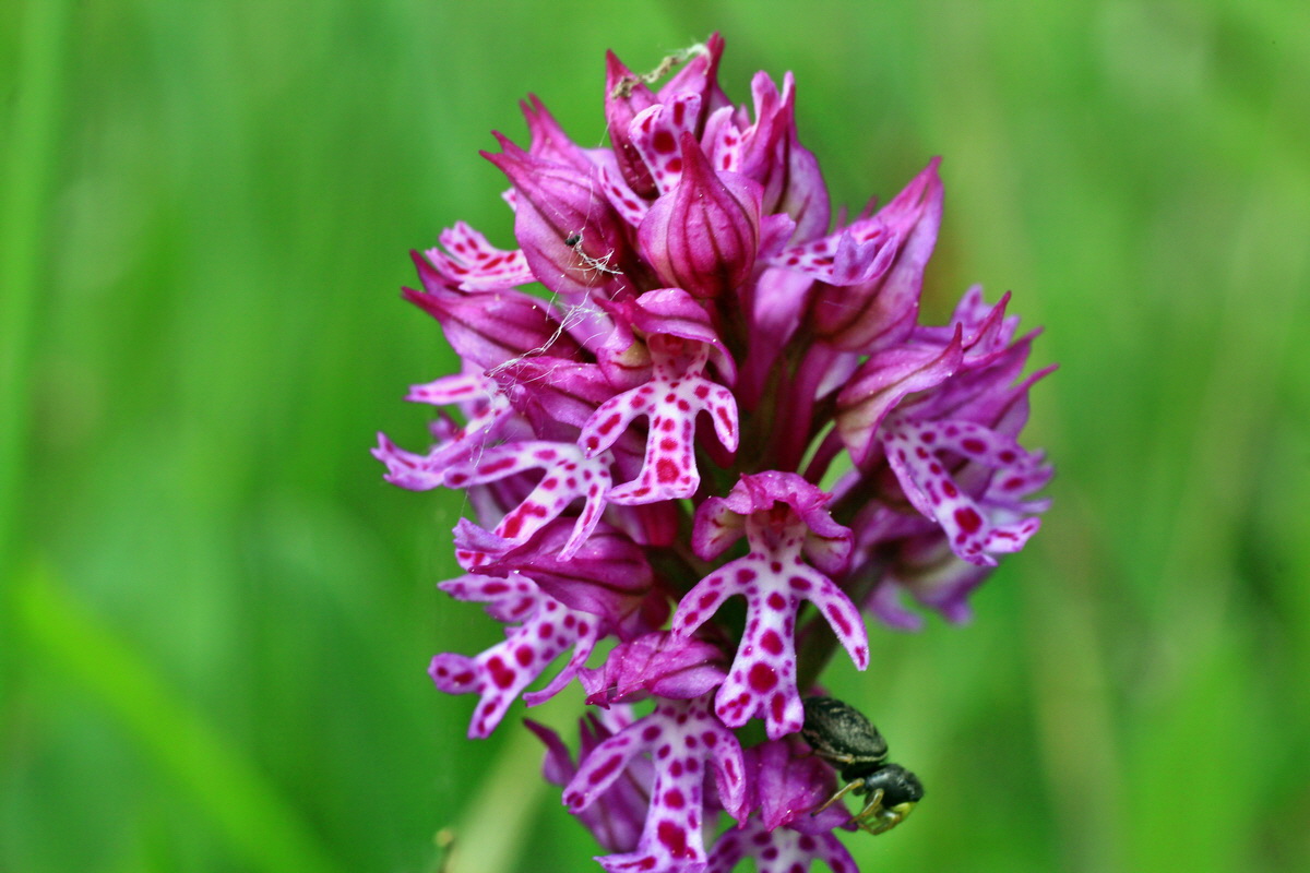 2015_05_12_00019360p_Bildgr��e �ndern