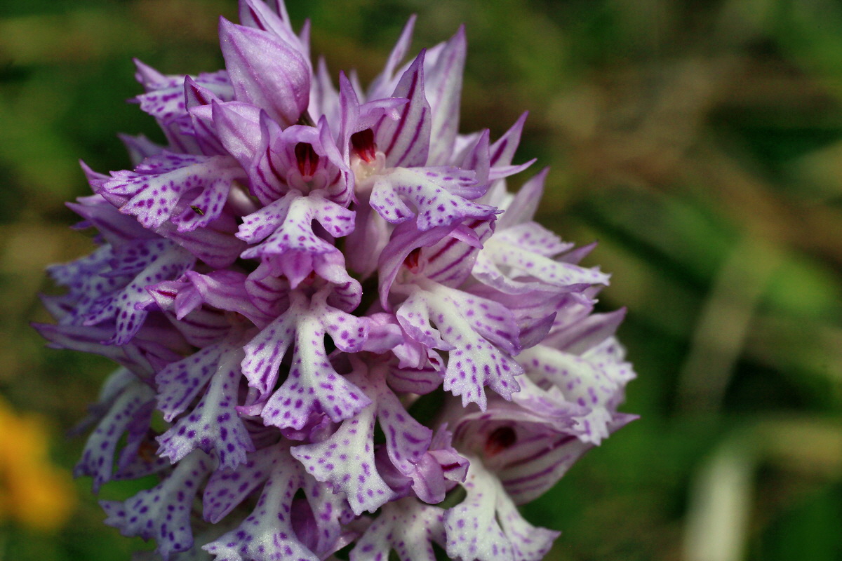 2015_05_12_00019366p_Bildgr��e �ndern