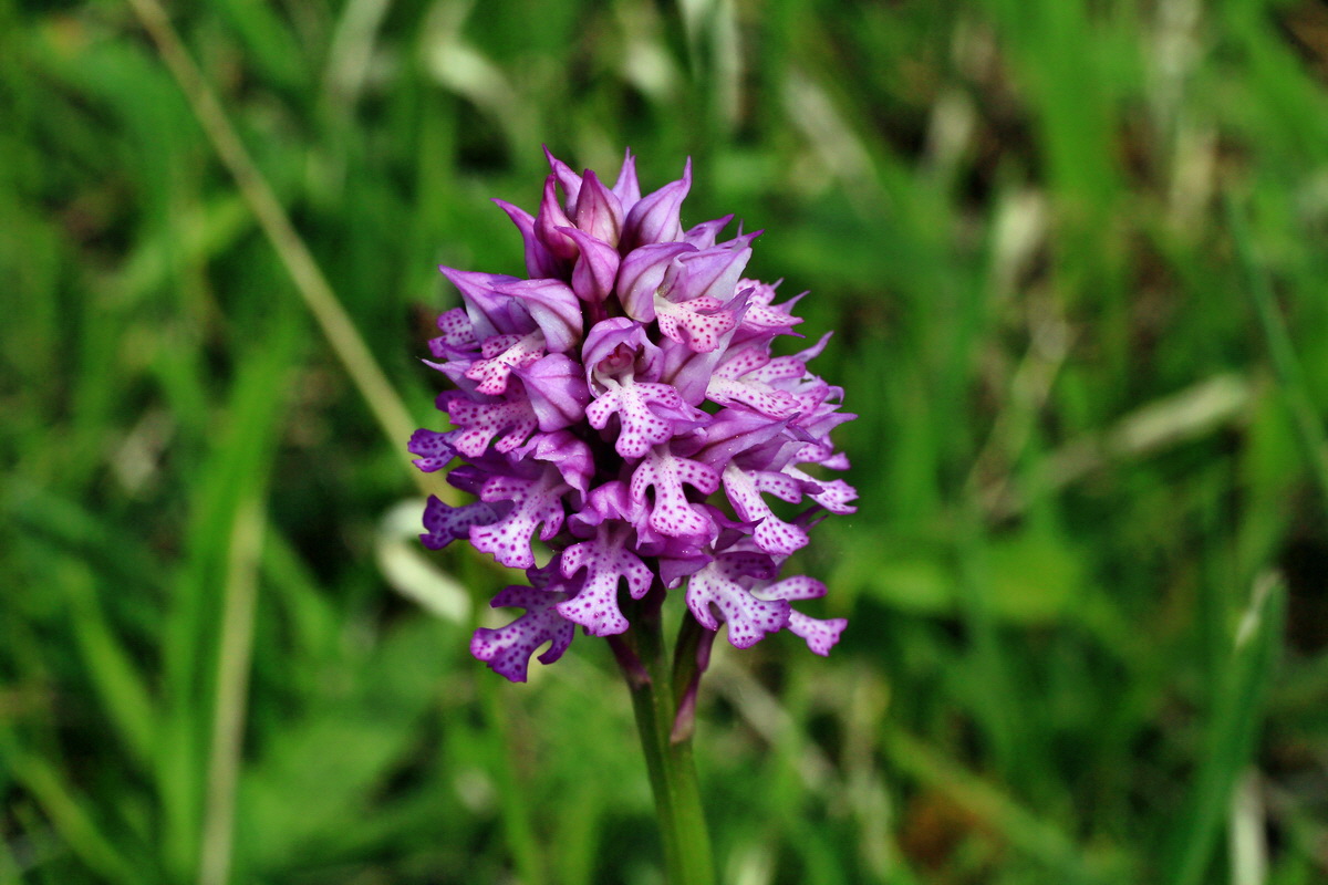 2015_05_12_00019368p_Bildgr��e �ndern