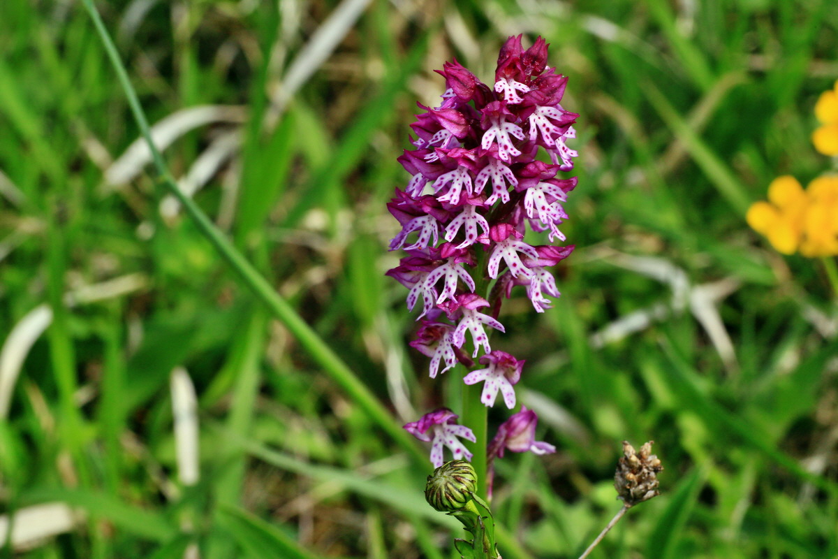 2015_05_12_00019371p_Bildgr��e �ndern